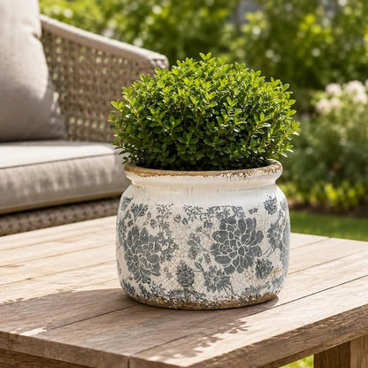 Dosayes Large Ceramic Pot for Planters, Ice Crack Glazed Flower Pot with Drainage Holes,5.91inch Vintage Planters for Indoor and Outdoor (Gray)