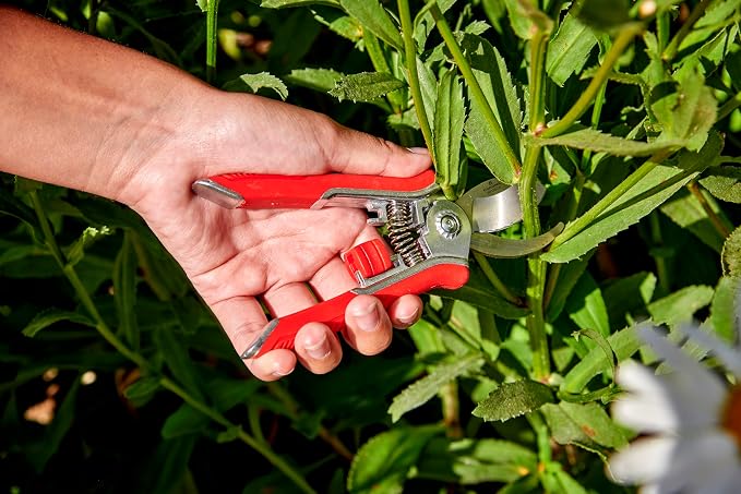 Corona Tools BP13624 Yard Essentials Houseplant Pruners, Variety Pack of 12