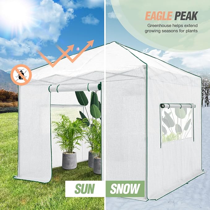EAGLE PEAK 10x10 Portable Walk in Greenhouse, Pop Up Indoor Outdoor Greenhouse, Green House Kit with Zippered Roll-Up Doors and Windows, PE Cover, Clear/White