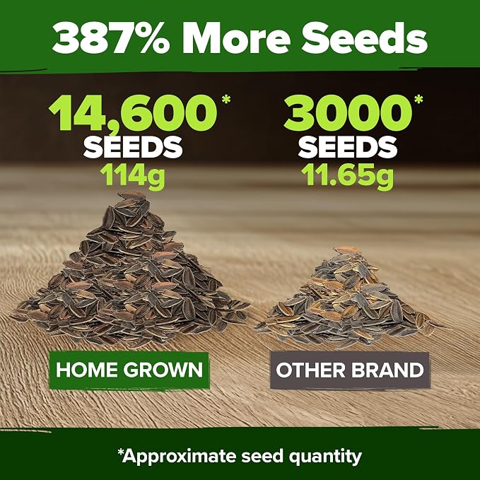 HOME GROWN Zinnia Seeds for 2026 - California Giant Mix - 14,600+ (4 oz) Plant Wildflower Blooms Bulk Seeds for Planting Flowers Outside - Pollinator Gardens (Zinnia elegans)
