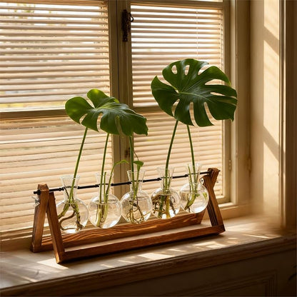 Renmxj Plant Propagation Stations with Wooden Stand & 5 Glass Bulb Vases | Plant Terrarium for Indoor Plants, Home Office Desk Decor, Gardening Gifts for Women Mom, Birthday Gifts for Plants Lovers