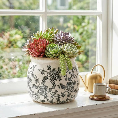 DREAMLOOM Vintage Ceramic Planter for Indoor Plants,6.1" Ice Crack Cottage Scroll Vase Tuscan Decor Flower Pots with Drainage Holes Home Kitchen Farmhouse Antique Decorative Gift (Grey-Round)