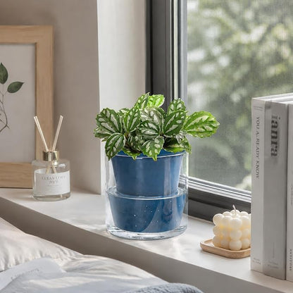 D'vine Dev 4 Inch Design Self Watering Planter for Indoor Plants, Blue Terracotta Pot with Cylinder Glass Cup, Set of 2, 37-Y-A-4