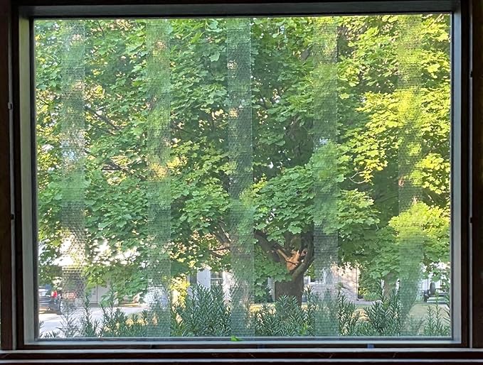 COLLIDESCAPE Spiderweb Clear BirdTape for Windows (3/4" x 20' - Covers 1 to 2 panes) | Bird Tape Decals to Prevent Bird Strike Prevention for Glass | Clear