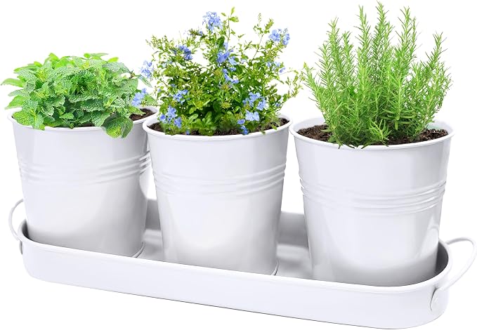 Small Pots for Plants, 3-Pack 4.7 Inch White Metal Herb Pots, Mini Windowsill Planter for Succulent, Cactus, Basil, Mint, Rosemary