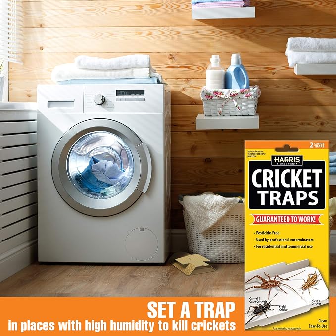 Harris Cricket Glue Traps, (2-Pack)