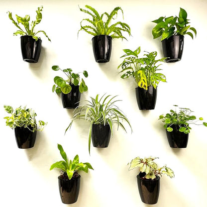 LaLaGreen Indoor Wall Planters (5in, 10 Pack) Self Watering Hanging Pots | Eco Wall Mounted Planter System Living Plant Holder Trendy Live Wall Garden Outdoor for Herb Garden Home Decor