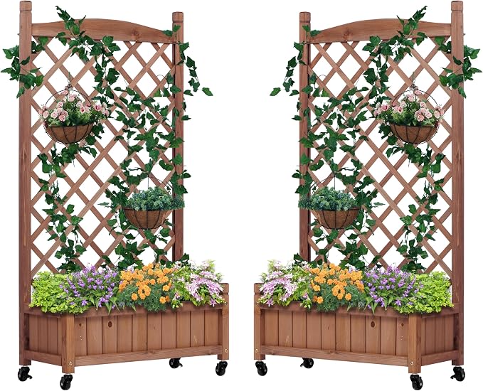 Raised Garden Bed with Trellies 2 Pack, Outdoor Wooden Planter Box & Plant Stand with Climbing Racks