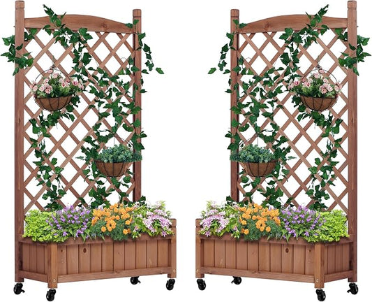 Raised Garden Bed with Trellies 2 Pack, Outdoor Wooden Planter Box & Plant Stand with Climbing Racks