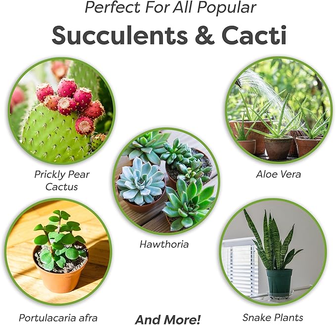 Succulent & Cactus Soil Mix by Perfect Plants (1QT)