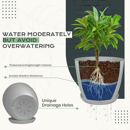 Utopia Home - Plant Pots Indoor with Drainage - 7/6.6/6/5.3/4.8 Inches Home Decor Flower Pots - Pack of 10 Plastic Planters for Indoor Plants, Cactus, Succulents Pot - Grey