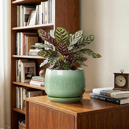Ceramic Pots for Plants - 7 Inch Planters for Indoor Plants, Round Ceramic Plant Pot with Drainage Hole and Saucer, Decorative Planters, Rustic Home Decor, Plant Gifts for Women, Green