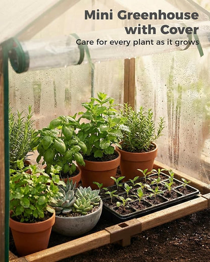 Bamworld Mini Greenhouse Indoor Desktop with Zippered Doors Portable Plant Hot House with Durable PE Cover Ventilation Window for Seed Starting&Plant Growth
