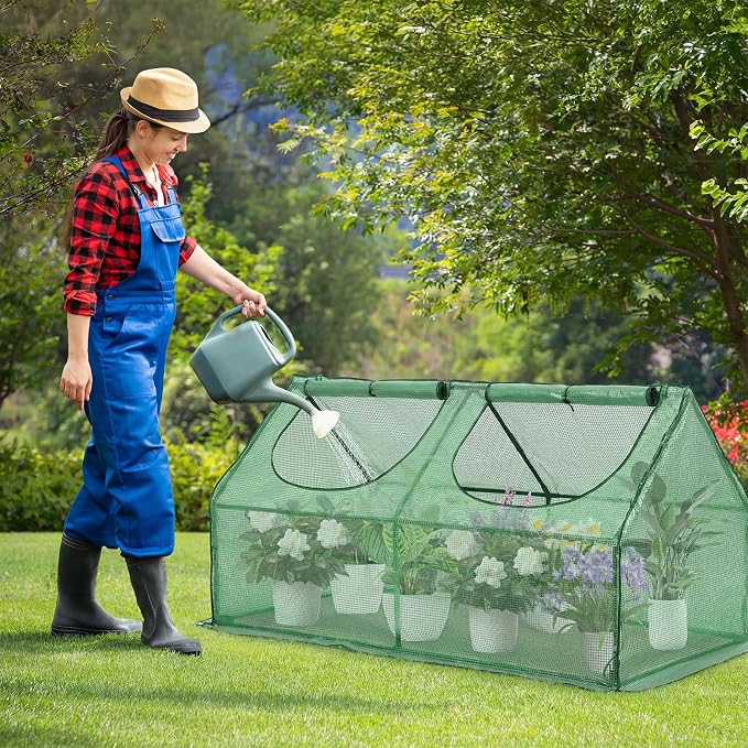 Aoodor 4 x 2 x 2 ft Mini Greenhouse with 2 Zipper Doors, Water Resistant, UV Protected for Flowers, Vegetables and Herbs, Green