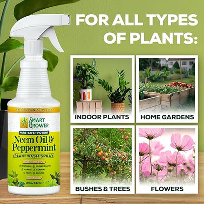 Neem Oil Spray for Plants with Peppermint Oil, Natural Plant Wash Made for Indoor and Outdoor Plants Smart Grower 16oz Easy Ready to Use Spray