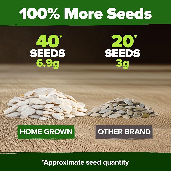 HOME GROWN Pumpkin Seeds 5 Variety Mix 40+ Heirloom Non-GMO, High Germination, Connecticut Field, Blue, White & Mini Pumpkins,Edible & Jack O Lanterns,Autumn Harvest,Ornamental Garden (Cucurbita pepo)