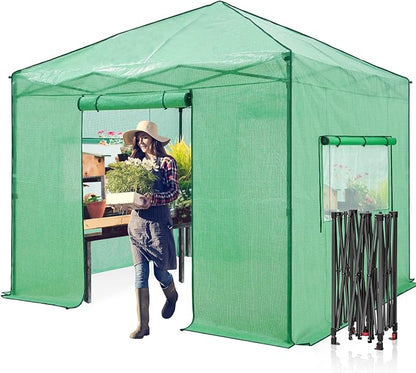 EAGLE PEAK 10x10 Portable Walk in Greenhouse, Pop Up Indoor Outdoor Greenhouse, Green House Kit with Zippered Roll-Up Doors and Windows, PE Cover, Clear/Green