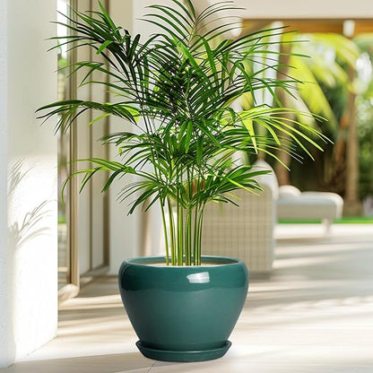 Ceramicfor 8 Inch Plant Pot - Ceramic Planter for Indoor Outdoor Plants, Glaze Modern Round Ceramic Flower Pot with Drainage Hole and Saucer, Gifts for Plant Lover, Home Office Patio Decor, Green