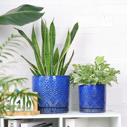 8 Inch + 6 Inch Indoor Plant Pot with Drainage Holes and Saucers, Ceramic Planter for Plants Succulent Orchid Flower Pots