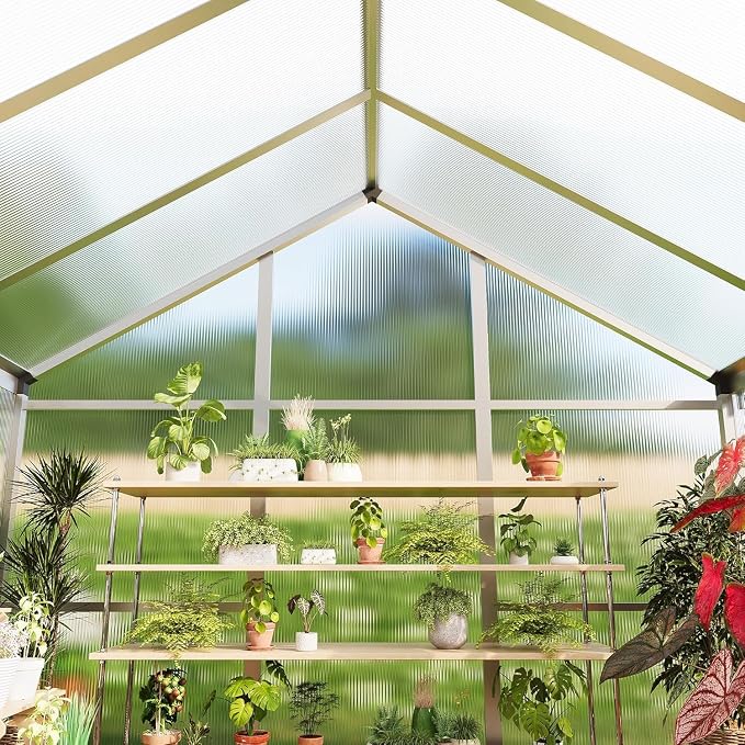 6 x 10 ft Greenhouse, Greenhouses for Outside, Polycarbonate Greenhouse with Aluminum Frame, Lockable Door and Ajustable Roof Vent for Backyard, Green Houses for Outside Garden Backyard, Patio