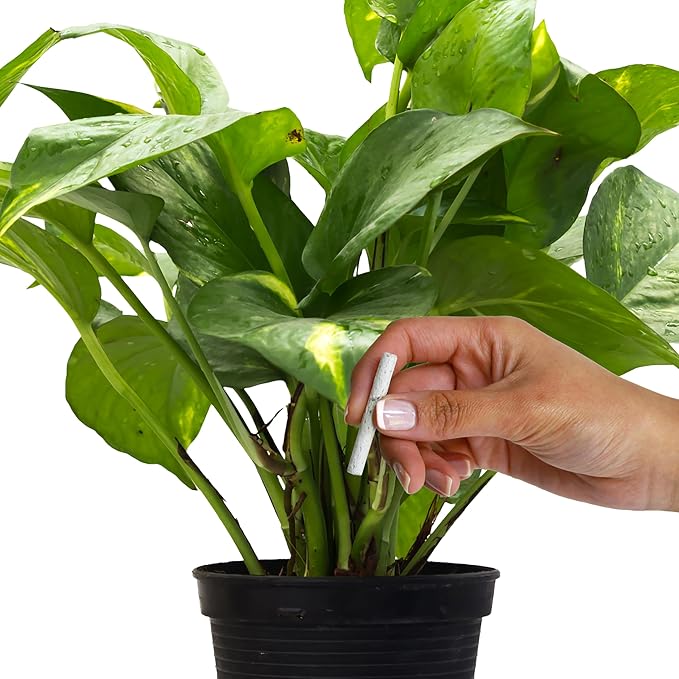 Jobe's Plant Food Fertilizer Spikes, Easy Plant Care for All Indoor Flower and Foliage Houseplants, 50 Count
