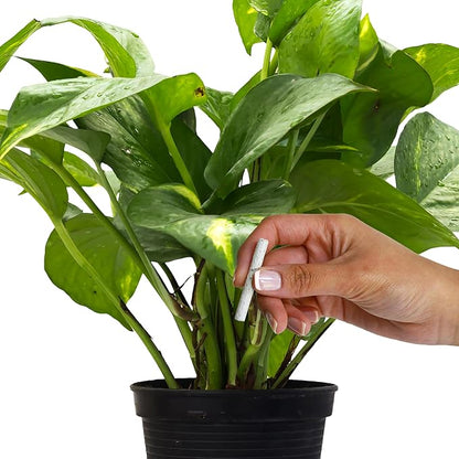 Jobe's Plant Food Fertilizer Spikes, Easy Plant Care for All Indoor Flower and Foliage Houseplants, 50 Count