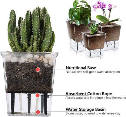 Self Watering Pots Set, 3 Pack 5 Inch for Indoor Plants, Clear Nursery Planter With Deep Reservoir for Spider Plant, Orchid, African Violet