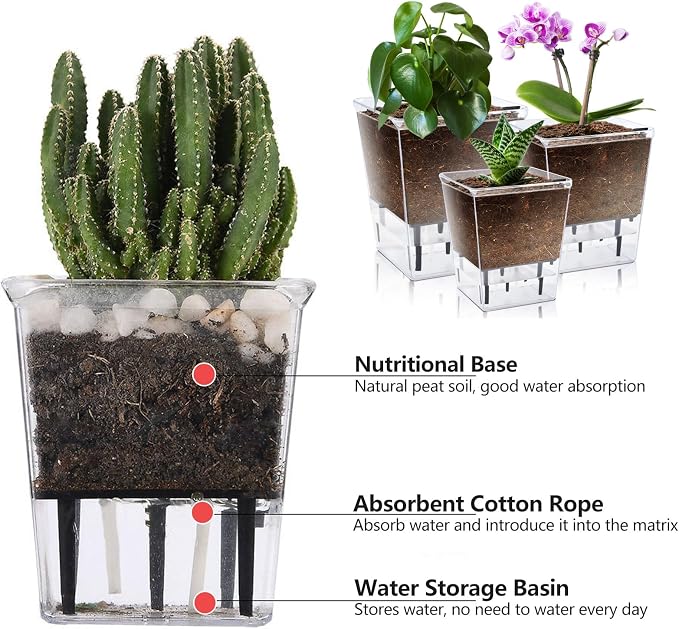 Self Watering Pots Set, 5 Pack 2.7 Inch Self Watering Pots for Indoor Plants, Clear Planter Pot with Deep Reservoir for Spider Plant, Orchid, African Violet (5Pcs Small)