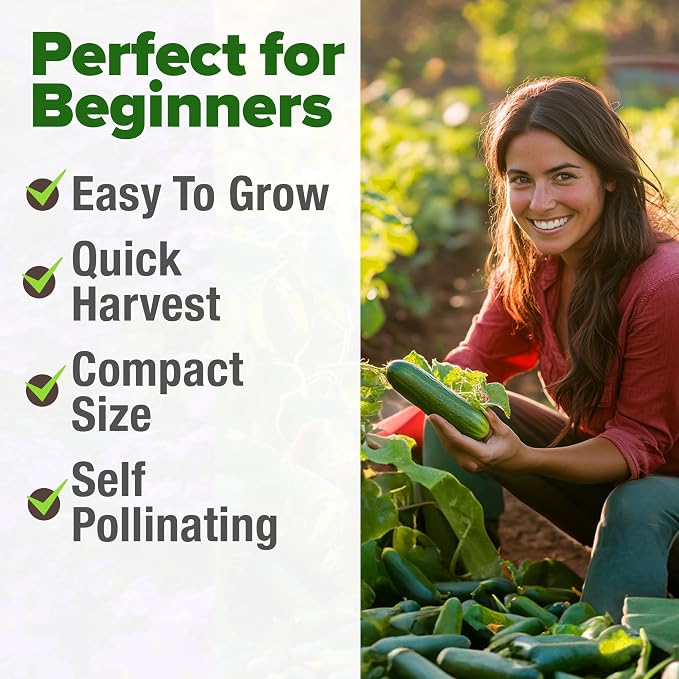 HOME GROWN Persian Cucumber Seeds 50+ Heirloom Non-GMO, Beit Alpha Variety, High Germination, Sweet Thin Skin, Burpless Snacking Cucumbers, Fast Growing, Indoor Outdoor Garden Crop (Cucumis sativus)