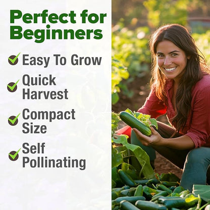 HOME GROWN Persian Cucumber Seeds 50+ Heirloom Non-GMO, Beit Alpha Variety, High Germination, Sweet Thin Skin, Burpless Snacking Cucumbers, Fast Growing, Indoor Outdoor Garden Crop (Cucumis sativus)