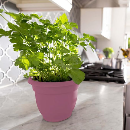 Bloem Ariana 8" Plastic Self-Watering Planter, Dusty Rose, 4-Pack | Self-watering disk at the bottom of each pot that acts as a water wick and reservoir for optimal plant health