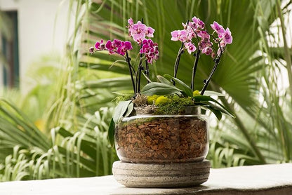 SuperMoss (23112) Orchid Potting Bark, 100% Natural White Fir Bark, 3/4", 2 Cu. Ft.