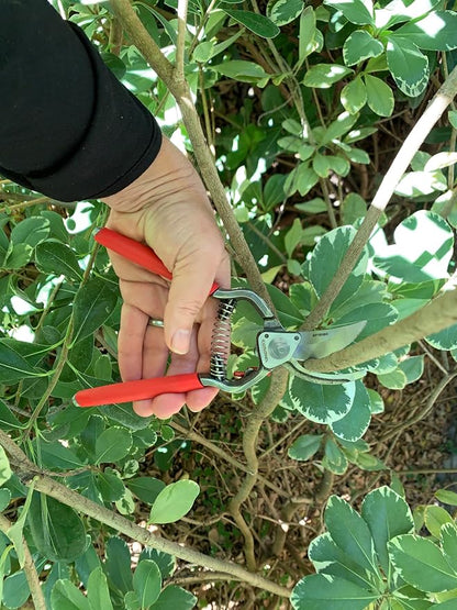 Corona Tools Forged Steel ClassicCUT Bypass Hand Pruner – 1-Inch Cut Capacity Garden Pruning Shears for Stems & Branches, Heavy-Duty Bypass Pruners for Tree, Shrub & Plant Trimming