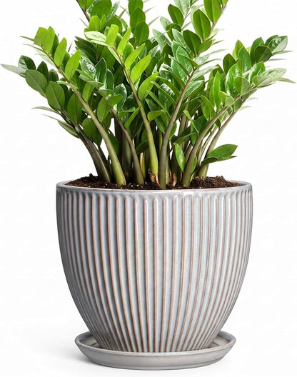 10 Inch Pots for Plants Indoor, Ceramic Planters with Drainage Hole and Saucer, Round Large Plant Pots for House Plants, Decorative Flower Planter, Porch Decor, Plant Lover Gifts, Grey