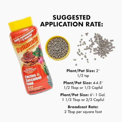 Dynamite Cactus & Succulent Food 18-6-8 - Plant Food for Indoor/Outdoor Cacti & Succulents - Continuous Feeding Up to 6 Months - Promotes Growth & Flowering - Includes Micronutrients