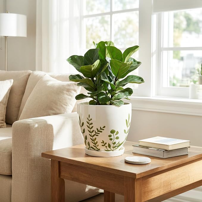 MPotTo Ceramic Pot for Plants 8.2 Inch - Indoor Plant Pot with Drainage Hole and Saucer, Decorative Boho Round Outdoor Planter, Gardening Gifts for Women Men, Room Patio Office Home Decor, White