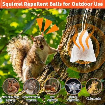 Squirrel Repellent Balls, 10 Pack Natural Plant-Based Formula, Long-Lasting Outdoor Animal Deterrent, Repel Skunk, Chipmunk & Raccoon, Mess-Free for Yard, Garden, Attic & Car Engine
