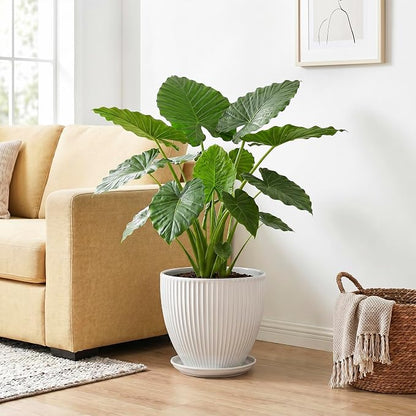 10 Inch Planter, Ceramic Plant Pots with Drainage Hole and Saucer, Modern Large Planters for Indoor Plants, Round Planter, Decorative Flower Pots, Living Room Decor, Gifts for Men Women, White