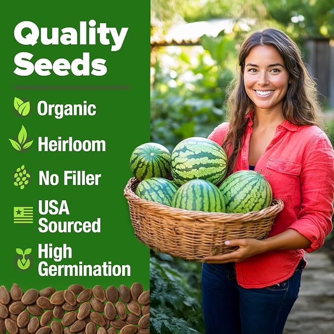 HOME GROWN Organic Crimson Sweet Watermelon Seeds 15+ Heirloom Non-GMO, High Germination, Honey Sweet Summer Fruit, Striped Skin, Home Garden & Raised Beds, High Sugar Content (Citrullus lanatus)