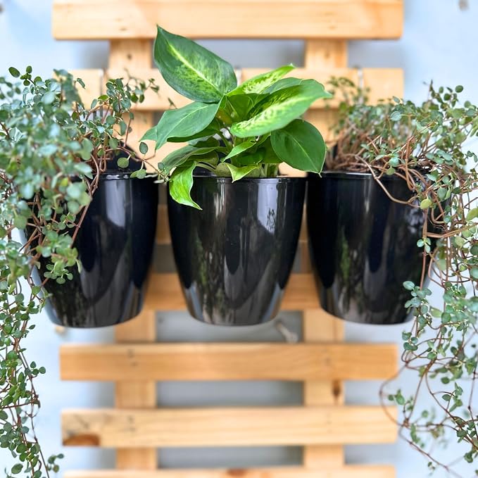 LaLaGreen Wall Planters for Indoor Plants (5in, 10 Pack) Small Planter | Black Self Watering Pots Modern Indoor Hydroponic Vertical Live Garden Wall Mounted Hanging Plant Holder