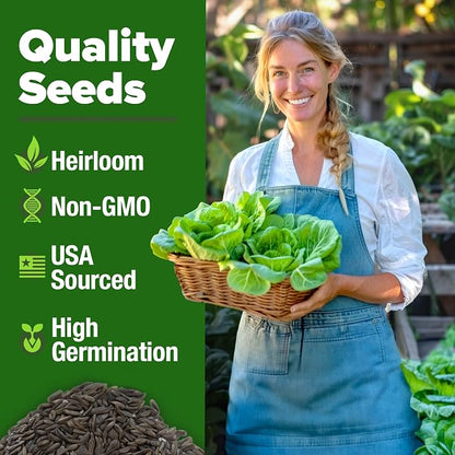 HOME GROWN Buttercrunch Lettuce Seeds Bulk Pack 1975+ Heirloom Non GMO Seeds for Planting, Bibb Lettuce, Indoor Outdoor Hydroponic Garden, Heat Tolerant, Sweet Tender Green Leaves (Lactuca Sativa)