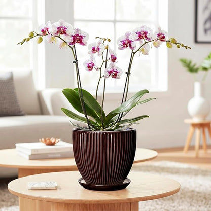 6 Inch Planter, Ceramic Plant Pots Indoor with Drainage Hole and Saucer, Round Flower Orchid Pots for Indoor Plants, Succulent Pot, Small Modern Planter, Bathroom Decor, Brown