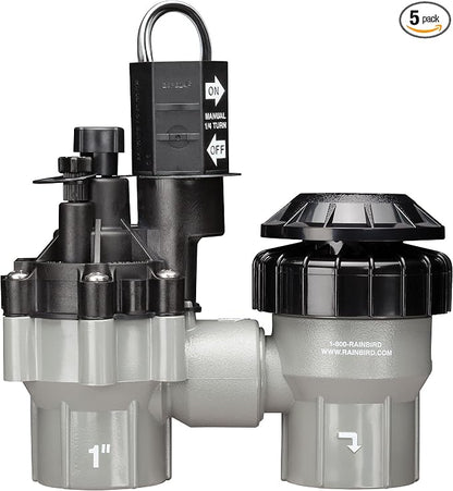 Rain Bird DASASVF100 Professional Grade Anti-Siphon Valve with Flow Control, 1" Threaded Female x Female (Pack of 5)