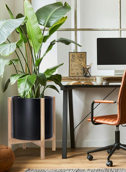 D'vine Dev Plastic Pot with Natural Wood Stand, Black, 14 in, 55-C-S-2 | Mid-Century Inspired Design, Elevated Plant Display, Clean Lines, Sturdy Support, Modern Space-Saving Style