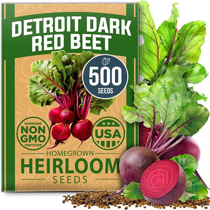 HOME GROWN Detroit Dark Red Beet Seeds 500+ Heirloom Non GMO Seeds for Planting, High Germination, Sweet & Tender Root Vegetable, Edible Greens, Canning, Pickling, Winter Storage (Beta vulgaris)