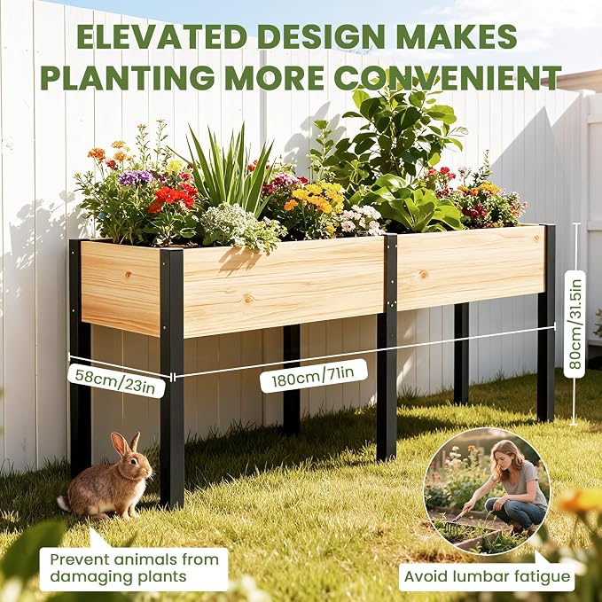 SUNYRISY Dual Wooden Raised Garden Bed Outdoor with Metal Legs for Gardening, 71" L x 23.6" W x 31.5" Elevated Planter Garden Box Raised Bed for Vegetable Flower Herb