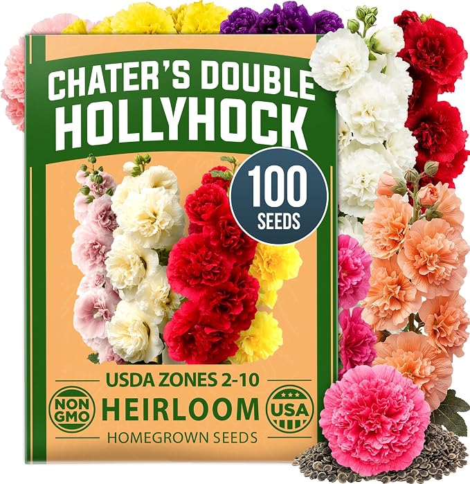 HOME GROWN Hollyhock Chater's Double Mix 100 Seeds (0.9g) – Biennial Blooms Year 2, Double Flower Hollyhock Seeds for Planting, Perennial Reseeding, Cottage Garden, USDA Zones 3–9 (Alcea rosea)