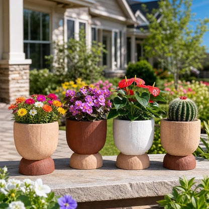 DREAMLOOM 2Pcs Flower Pot with Drainage Holes, 6.4Inch Terracotta & Coarse-Grained Planters for Succulents, Cactus Aloe, Herbs, Orchid, Vintage Color