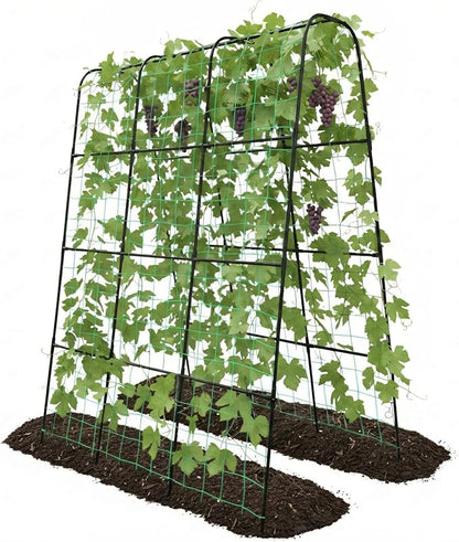 Cucumber Trellis - 62.4"*50" Cucumber Trellis for Raised Bed with Plastic-Coated Steel Pipe, U-Shape Garden Trellis for Climbing Plants, Garden Trellis for Cucumbers, Beans(Black)