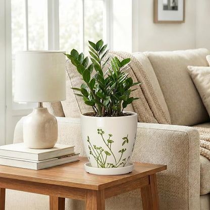 MPotTo 6 Inch Plant Pot - Ceramic Pots for Plants with Drainage Hole and Saucer, Ceramic Succulent Pots for Indoor Outdoor, Decorative Boho Planter, Housewarming Gifts, Garden Room Home Decor, White